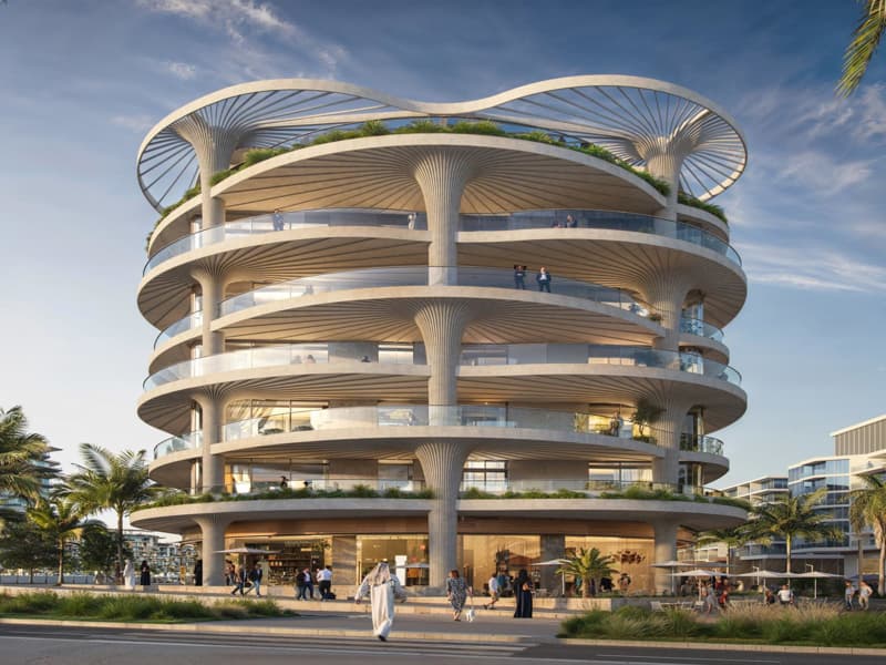 Mamsha Palm — 2