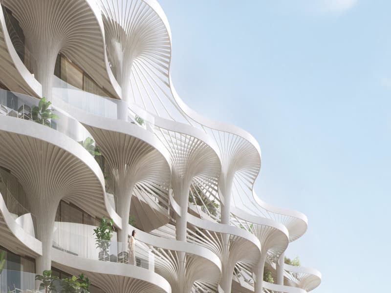 Mamsha Palm — 3