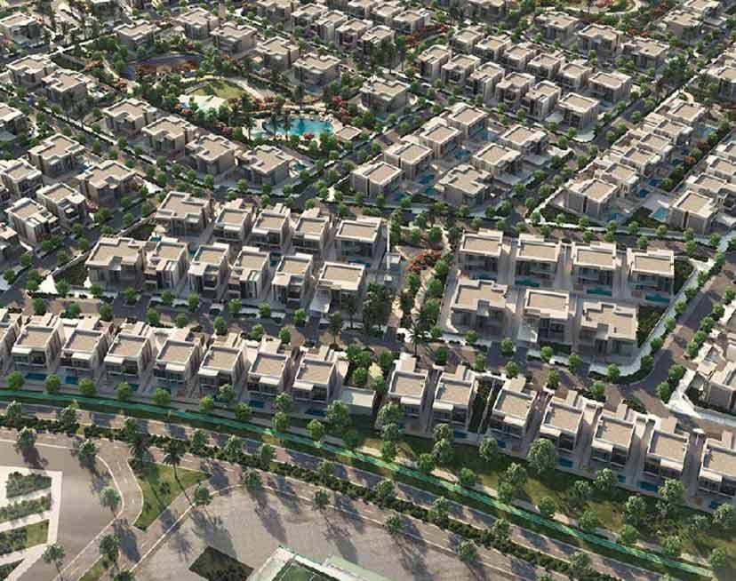 Saadiyat Reserve — 6